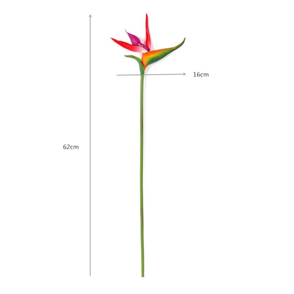 ดอกสตรีลิเซียปลอม ก้านยาว แบบใ - Bird Paradise Strelitzia บทวิจารณ์และราคา