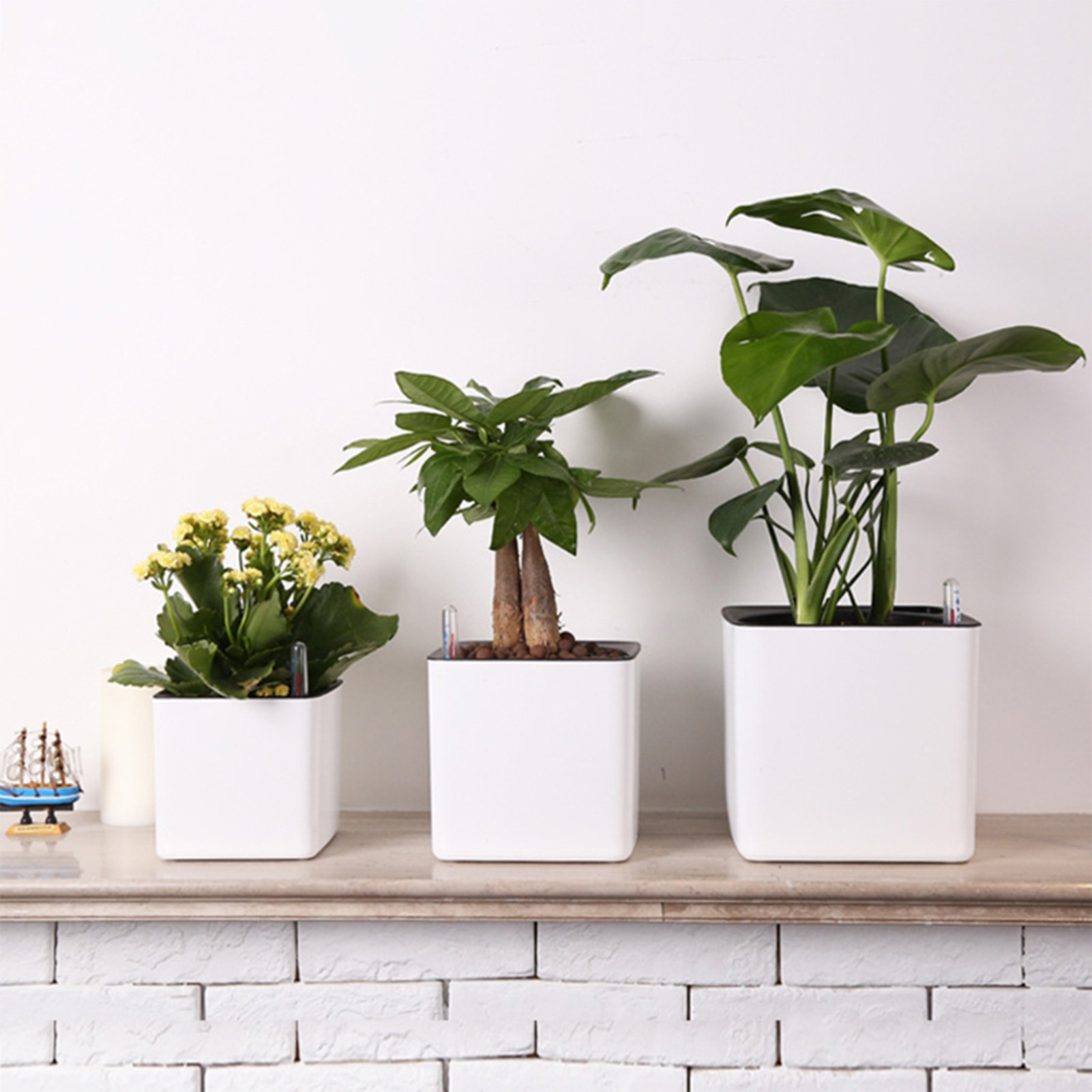 กระถางปลูกต้นไม้แบบรดน้ำเองพร้ - Aloe Vera Pot บทวิจารณ์และราคา