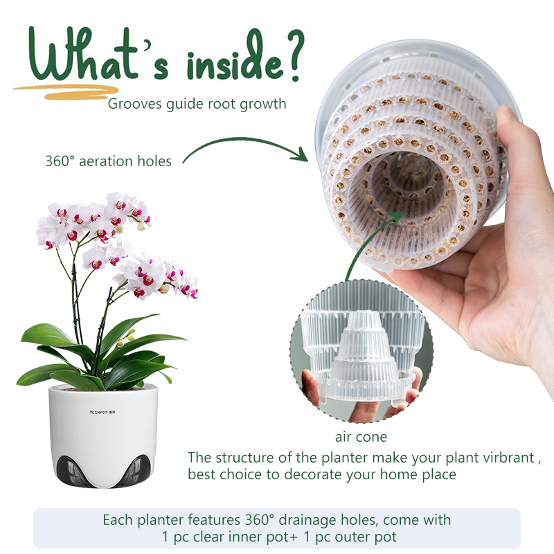 Meshpot Orchid Pots หลุม CLEAR - Aloe Vera Pot บทวิจารณ์และราคา
